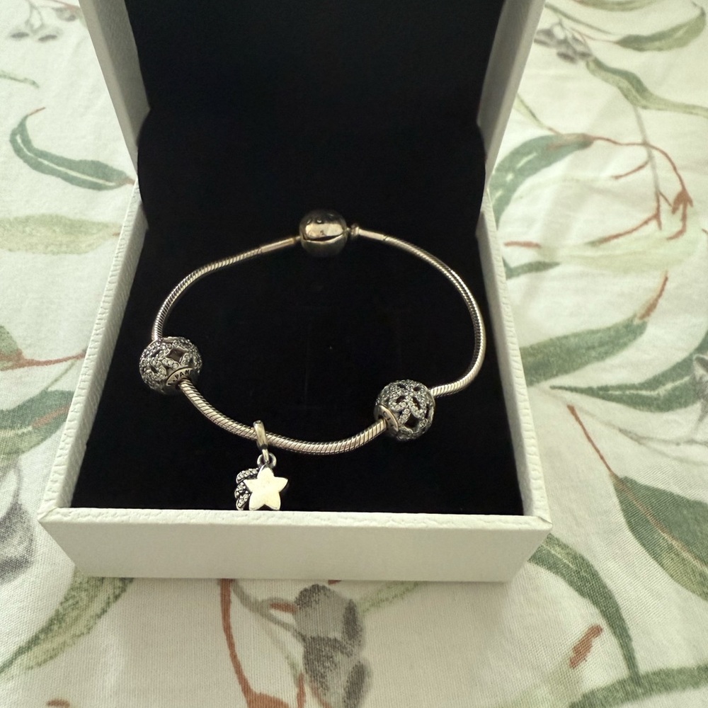 Pandora Silver Charm Bracelet 

New with the box